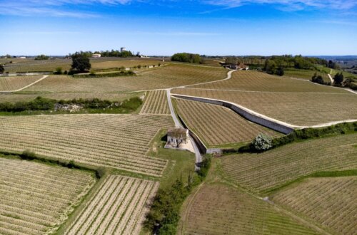 bordeaux france vineyards