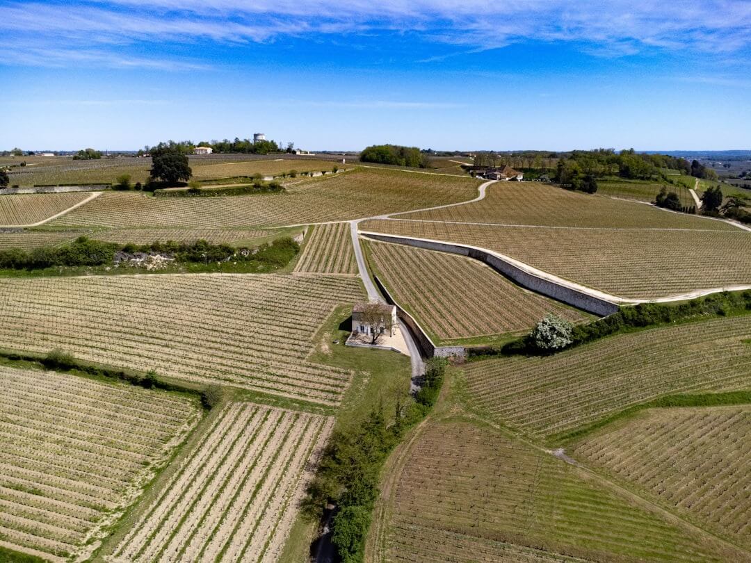 bordeaux france vineyards