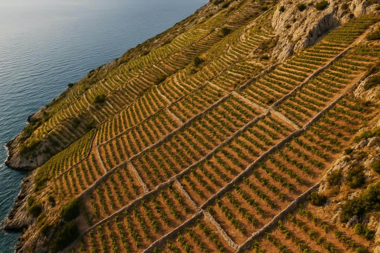 Steep Dingač vineyard slopes on Pelješac Peninsula showing traditional dry-stone terraces and Plavac Mali grapevines